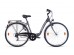 Bicicleta Gepida Berig 100 2014